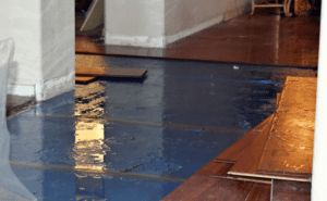 Water Damage Public Adjusters in San Jose | Apex Adjusting Group, Claims,