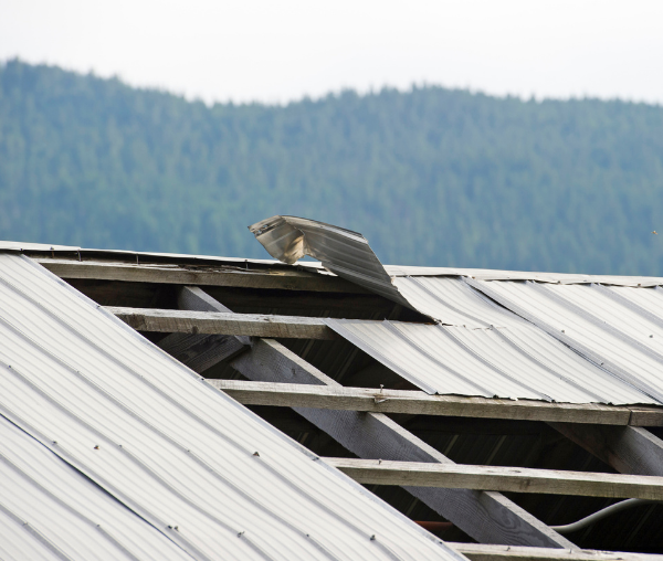 Wind Damage Public Adjusters