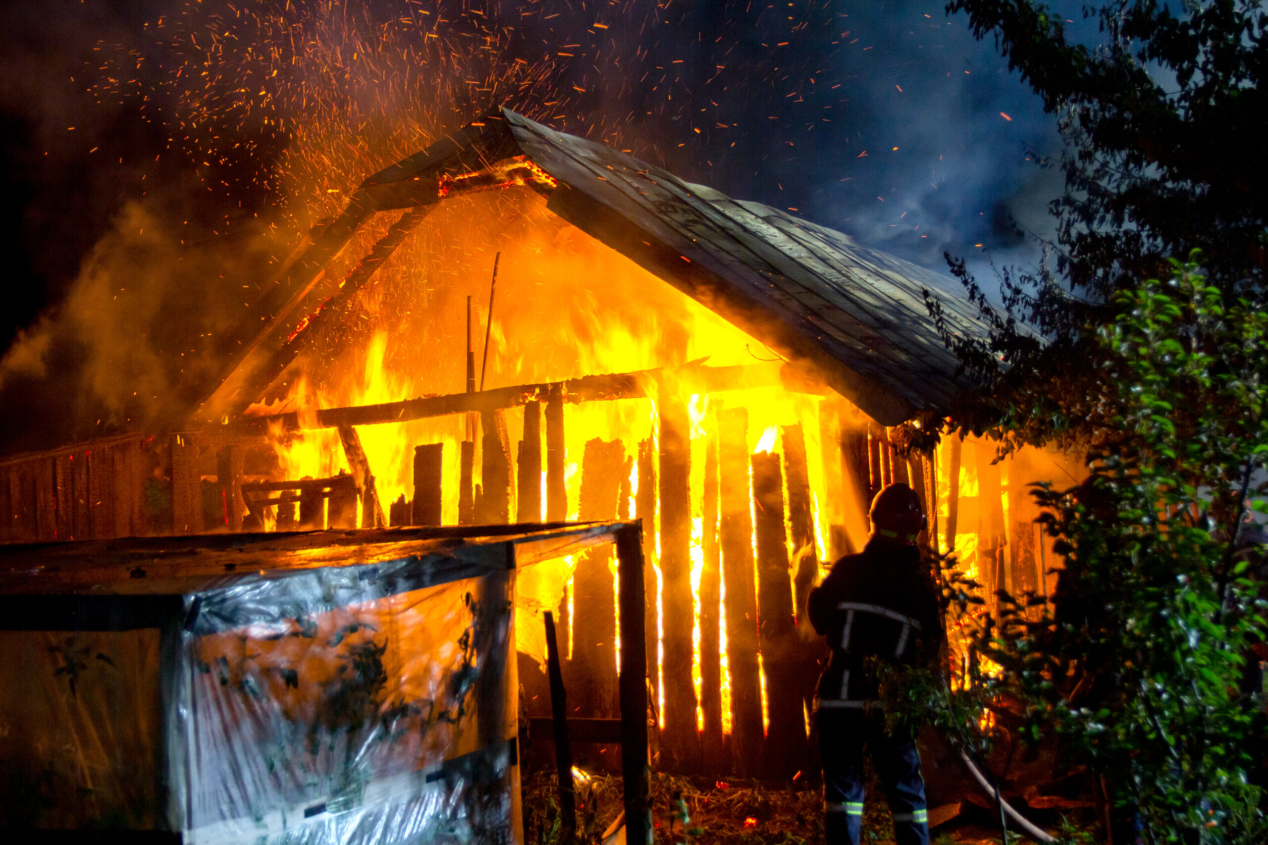 Hollywood Hills Fire Survivors