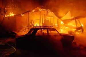 Environmental Impact of the 2025 Los Angeles Wildfires